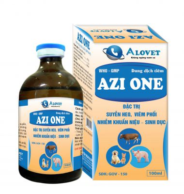 AZI ONE