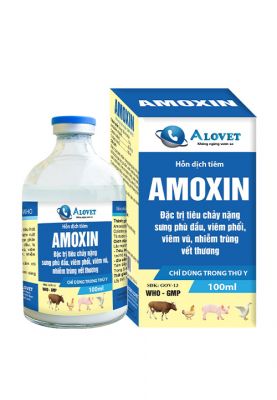 AMOXIN